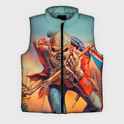 Мужской жилет Iron Maiden: Crash arrow, цвет: 3D-светло-серый