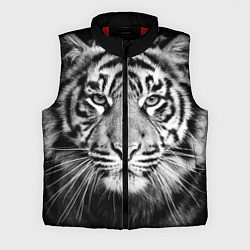 Мужской жилет Красавец тигр, цвет: 3D-красный