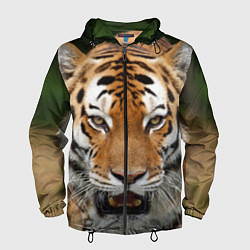 Ветровка с капюшоном мужская Рык тигра, цвет: 3D-черный