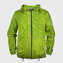 Мужская ветровка Листок с росой
