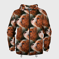 Мужская ветровка Бульдог паттерн