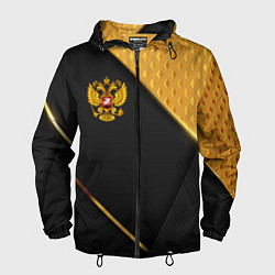 Ветровка с капюшоном мужская Герб России на черном фоне с золотыми вставками, цвет: 3D-черный