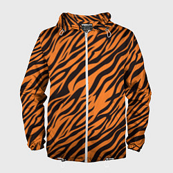 Мужская ветровка Полоски тигра - tiger