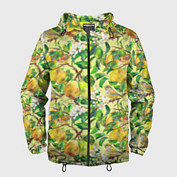 Мужская ветровка Птица на грушевом дереве