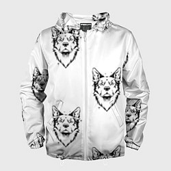 Мужская ветровка Голова собаки