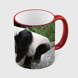 Кружка 3D Большая уставшая панда, цвет: 3D-красный кант