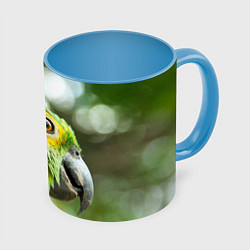 Кружка 3D Попугaй, цвет: 3D-белый + небесно-голубой