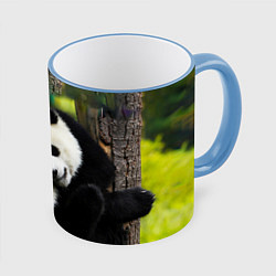 Кружка 3D Влюблённые панды, цвет: 3D-небесно-голубой кант