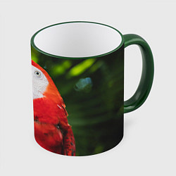 Кружка 3D Красный попугай Ара, цвет: 3D-зеленый кант