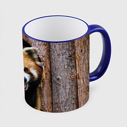 Кружка 3D Красная панда в дереве, цвет: 3D-синий кант