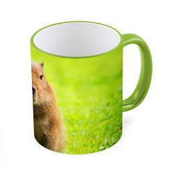 Кружка 3D Capybara on green grass, цвет: 3D-светло-зеленый кант