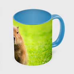 Кружка 3D Capybara on green grass, цвет: 3D-белый + небесно-голубой