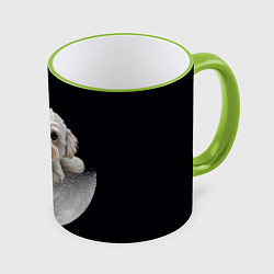 Кружка 3D Бишон фризе и луна, цвет: 3D-светло-зеленый кант