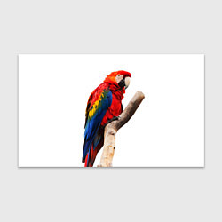 Бумага для упаковки Яркий попугай, цвет: 3D-принт