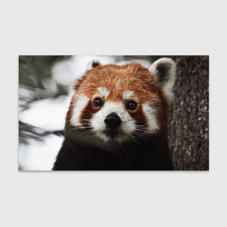 Бумага для упаковки Малая панда, цвет: 3D-принт