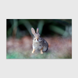 Бумага для упаковки Малыш кролик, цвет: 3D-принт