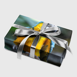 Бумага для упаковки Красавец попугай, цвет: 3D-принт — фото 2