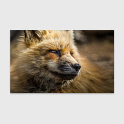 Бумага для упаковки Мудрый лис, цвет: 3D-принт