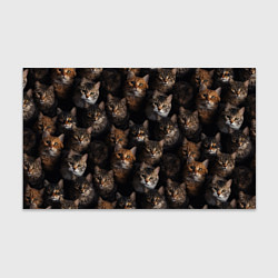 Бумага для упаковки Паттерн из котов, цвет: 3D-принт