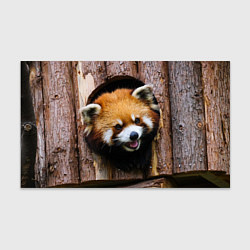 Бумага для упаковки Красная панда в дереве, цвет: 3D-принт