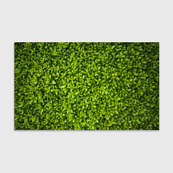 Бумага для упаковки Зеленая трава, цвет: 3D-принт