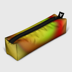 Пенал для ручек Color multicolored gradient, цвет: 3D-принт