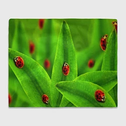 Плед флисовый Милые насекомые, цвет: 3D-велсофт