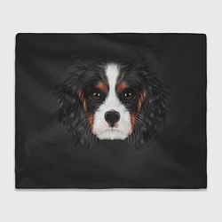 Плед флисовый Cavalier King Charles, цвет: 3D-велсофт