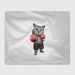 Плед флисовый Кот боксёр, цвет: 3D-велсофт