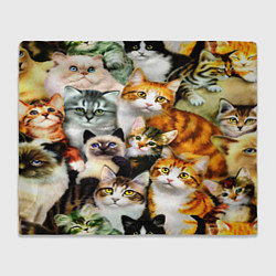 Плед флисовый КОТЫ, цвет: 3D-велсофт