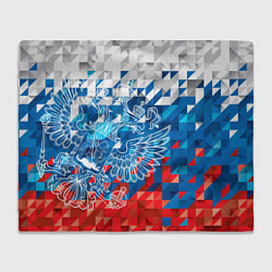 Плед флисовый Россия, цвет: 3D-велсофт