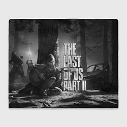 Плед флисовый THE LAST OF US 2, цвет: 3D-велсофт