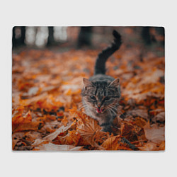Плед флисовый Мяукающий кот осенние листья, цвет: 3D-велсофт