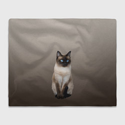 Плед флисовый Сиамский кот голубые глаза, цвет: 3D-велсофт