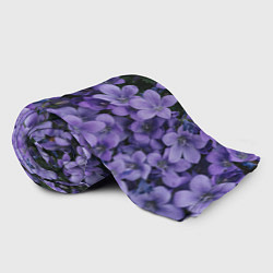 Плед флисовый Фиолетовый цвет весны, цвет: 3D-велсофт — фото 2