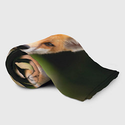 Плед флисовый Мордочка лисицы, цвет: 3D-велсофт — фото 2