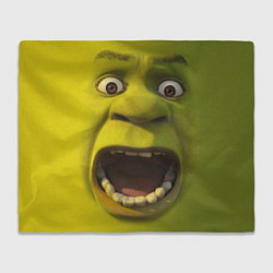 Плед флисовый Shrek is Yelling, цвет: 3D-велсофт