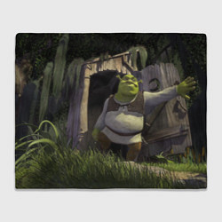 Плед флисовый Shrek: Somebody Once Told Me, цвет: 3D-велсофт