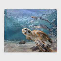 Плед флисовый Морская черепаха, цвет: 3D-велсофт