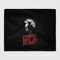 Плед флисовый Punks Not Dead, цвет: 3D-велсофт