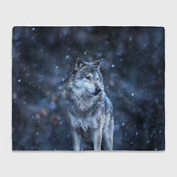 Плед флисовый Лесной волк, цвет: 3D-велсофт