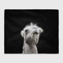 Плед флисовый Веселый верблюд, цвет: 3D-велсофт