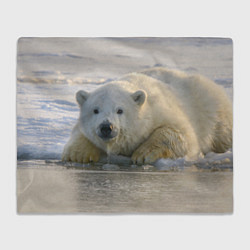 Плед флисовый Белый медведь ожидает, цвет: 3D-велсофт
