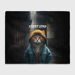 Плед флисовый Street cat, цвет: 3D-велсофт