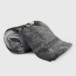 Плед флисовый Киш Горшок, цвет: 3D-велсофт — фото 2