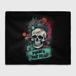 Плед флисовый Punks not dead, цвет: 3D-велсофт