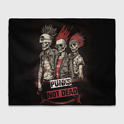 Плед флисовый Punks not dead, цвет: 3D-велсофт