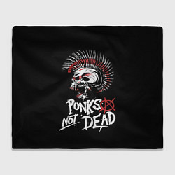 Плед флисовый Punks not dead - анархия, цвет: 3D-велсофт