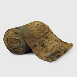 Плед флисовый Древний папирус, цвет: 3D-велсофт — фото 2