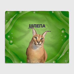 Плед флисовый Крупный Шлепа, цвет: 3D-велсофт
